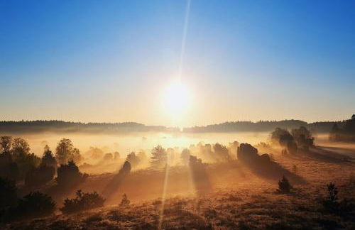 Heide Ferien - Hof Bockelmann - Foto 35