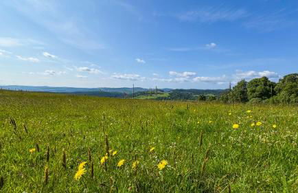 Cnocvann Croft Shepherd Huts - Foto 10