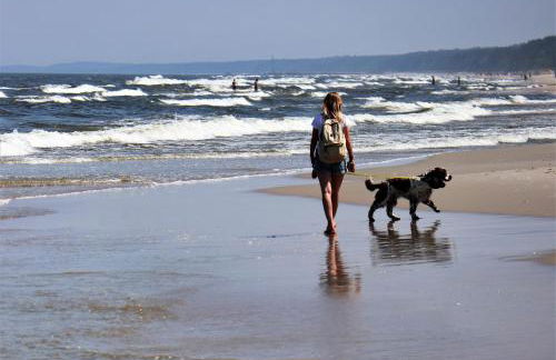 Am Achterwasser DORF 12 - Foto 16