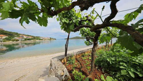 Studio in Mali Iz - Insel Iz 53385 - Foto 3