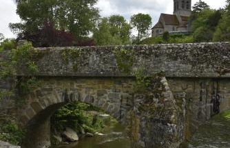 Gite du Pont Saint-Céneri-Le-Gérei dans les Alpes Mancelles - Photo 20