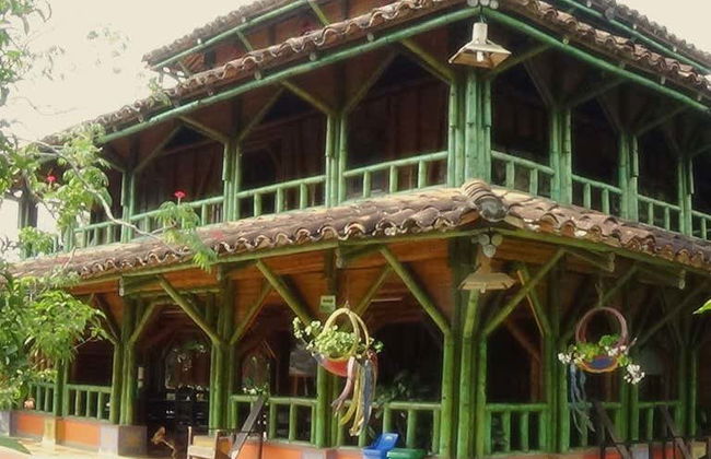 Visite de la ferme de Mama Lulu - Photo 5