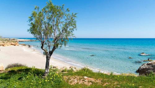 Coastal Charm-Getaway to Artichoke's Seaside Oasis - Foto 2