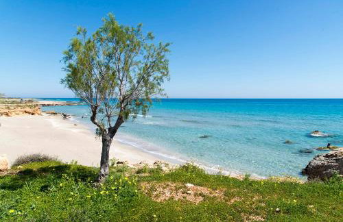 Coastal Charm-Getaway to Artichoke's Seaside Oasis - Foto 2