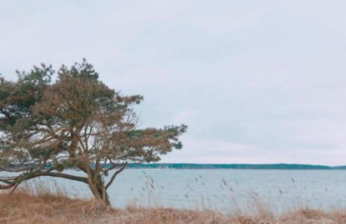 Apartment Sealoft auf der Ostsee Floatinghouse Trinity by Interhome - Foto 17