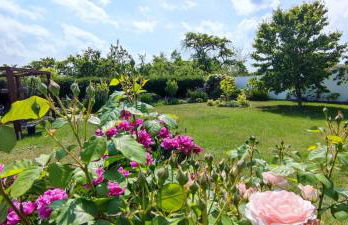 Ferienwohnung am Schweriner Außensee - Foto 11