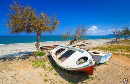 Oliva Beach Hotel - Foto 50