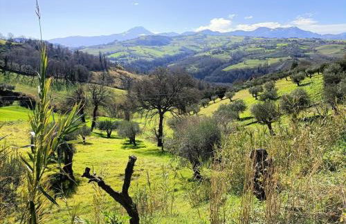 Rustic hillside stone-Rustico in pietra - Foto 11