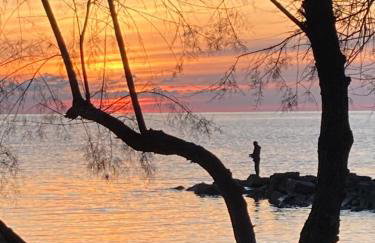 App Sorgo - Photo 53