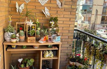 Semini di nostalgia - Foto 14