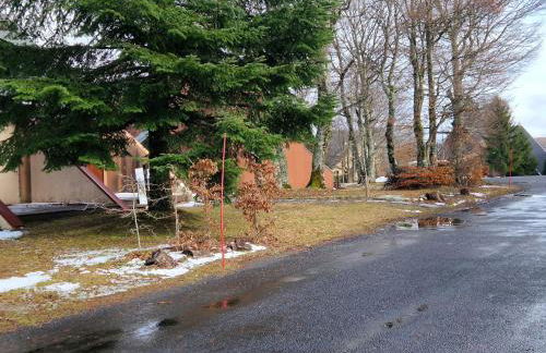 Chalet Le Reposou - Foto 57