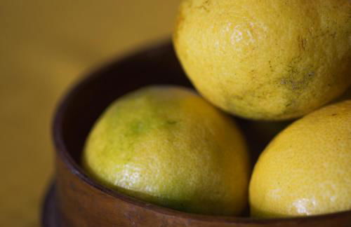 Casas do Capelo - Foto 15