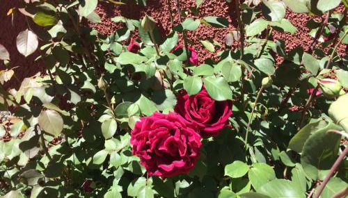 Apartamento Avenida - Foto 4, Lobby or reception