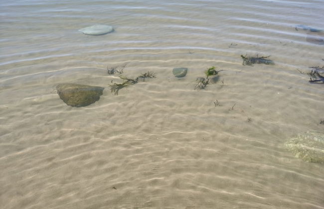 Sea and Mountain View Sunbeach Holiday Snowdonia - Foto 20