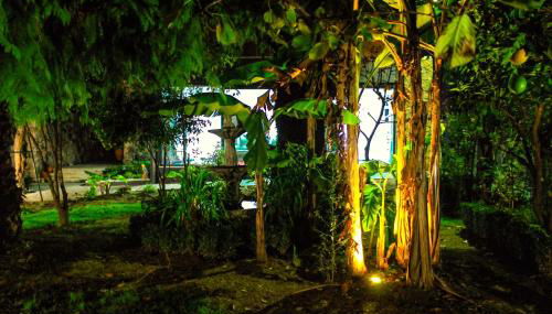 Casas da Fraga - Serra da Estrela - Foto 2, Garden, Garden view