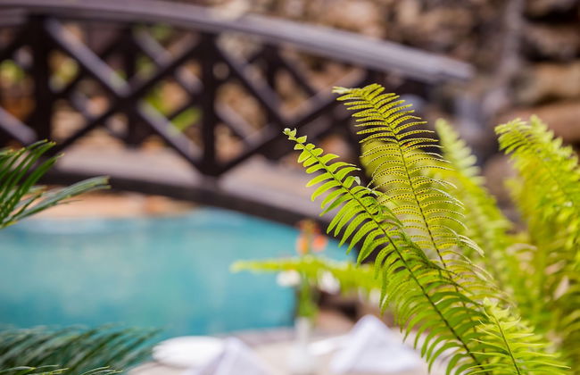 The Grand Gables - Foto 73