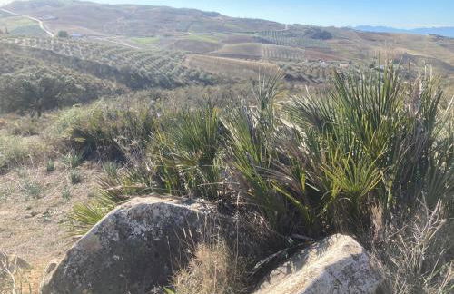 Casa Siempre feliz - Foto 32