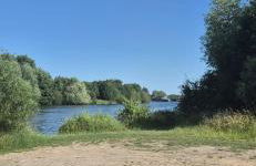 LandOase Buchhorst - Photo 11