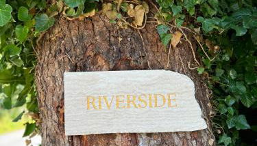 Riverside - Domaine 2 Maisons - Parc 1 hectare - Pont L'Eveque Deauville Normandie - Foto 4