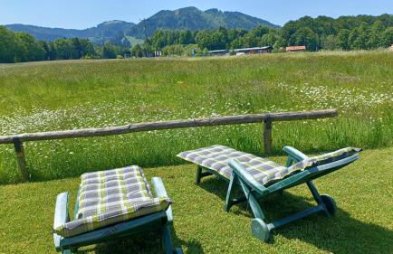 Ferienwohnung Zwiesel - Foto 13