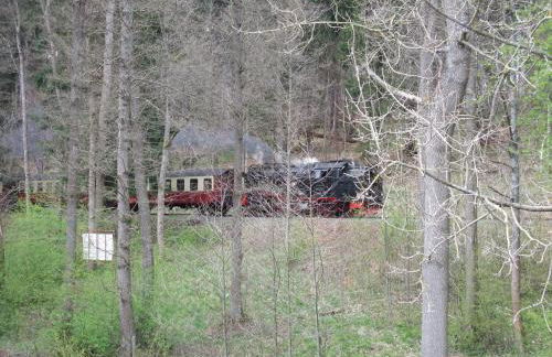 Ferienhaus Hubertus in Elend mit Balkons - Foto 7