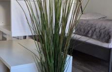 NEU "RELAX"1-Zimmer Apartment mit eigenem Stellplatz - Foto 6