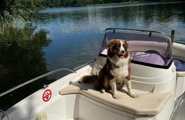 FORESTHOUSE - Foto 48