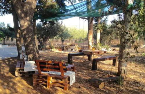 RUSTICO FRA IL VERDE E IL MARE a LIDO VALDERICE - Foto 15