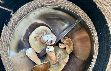 Villa Si'Seta - Photo 36