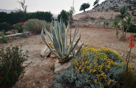 Carob Villa - Photo 6