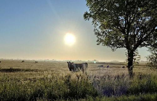 Ferienwohnung Altneukoog - Foto 27