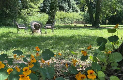 Gîtes Terra di a Bravona - Foto 62