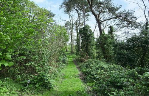 The Hideaway - Foto 16