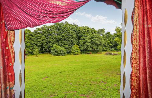 Copperbeech Bowtop - Foto 5