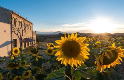 LA BUONA MANIERA 10, Emma Villas - Foto 42