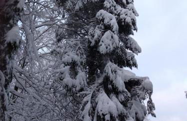 Kleine Milchbar Barrierefrei in den Bergen auf dem Hof Grindelborn - Foto 26
