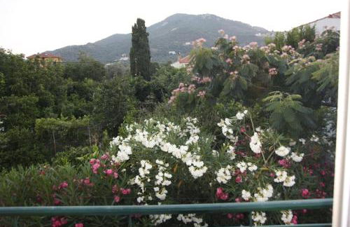 Sappho Studios - Photo 45