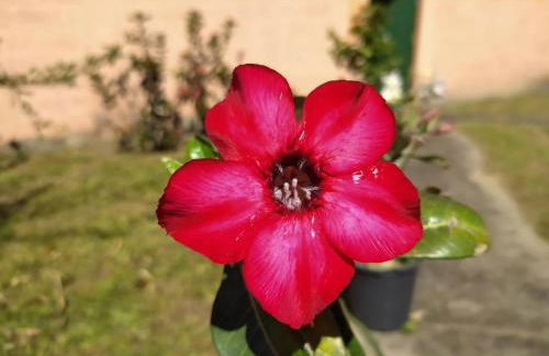 Studios Verdes hospedagens - Photo 54