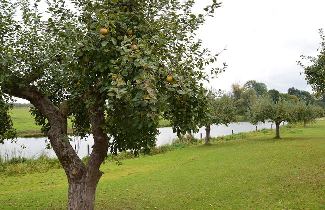 Authentic Mansion in Deil near Lake - Foto 63