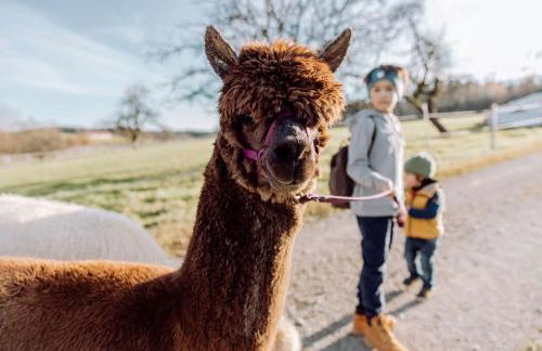 Ferienhof Petermühle Urlaub mit Alpakas - Foto 46