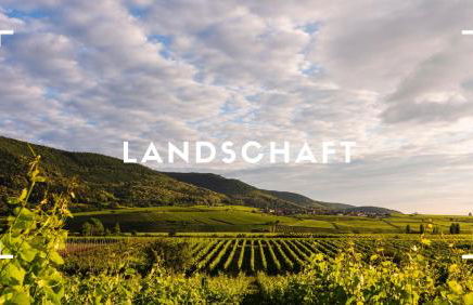 Familienglück im Waldglück Pfalz - Foto 22