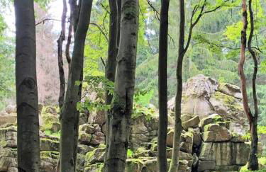 Casita - Sterneferienhaus mit Garten, Sauna und Wallbox - Foto 64