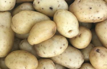 Agriturismo Villa Gaia - Foto 70