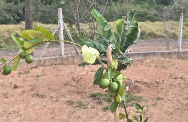 Rancho do andi - Foto 14