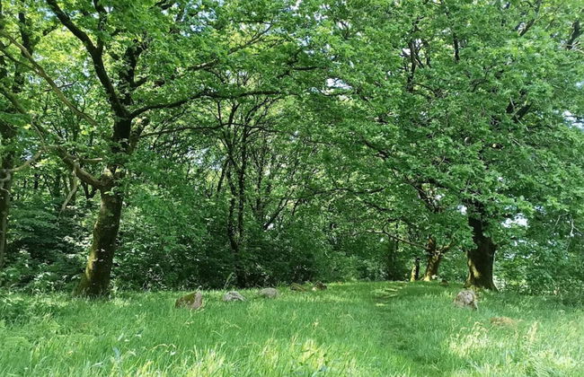 5 Star Holiday Home in Hovborg - Foto 11