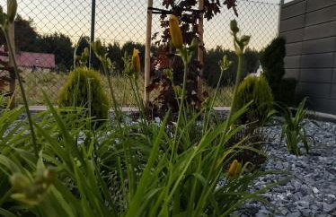 Apartament Nadziei - Foto 31