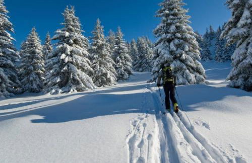 GITE DES 3 JONQUILLES - Foto 17