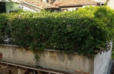 Elegant apartment with LIFT in historical 1600 Palace, a few min walk from San Marco Square - Foto 57