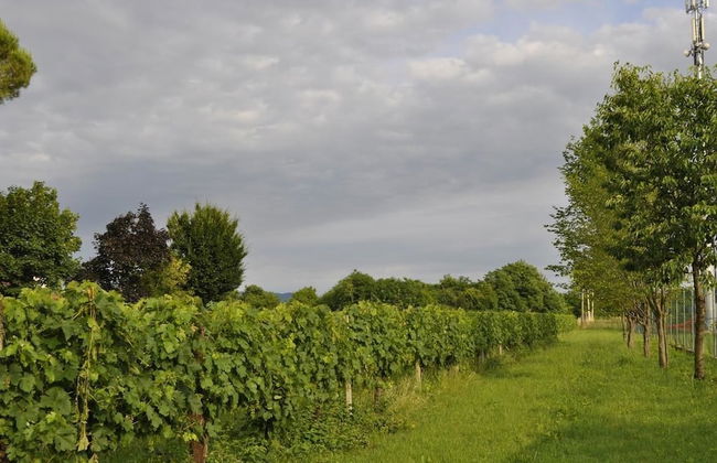 La Casa Griunit - Foto 9