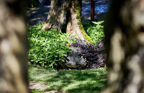 Apartments in Malcesine - Gardasee 22016 - Foto 12